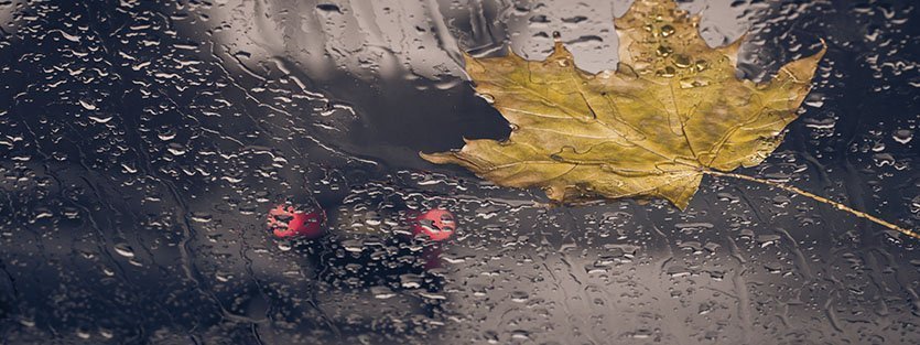 Consejos a tener en cuenta para evitar accidentes dentro de un temporal